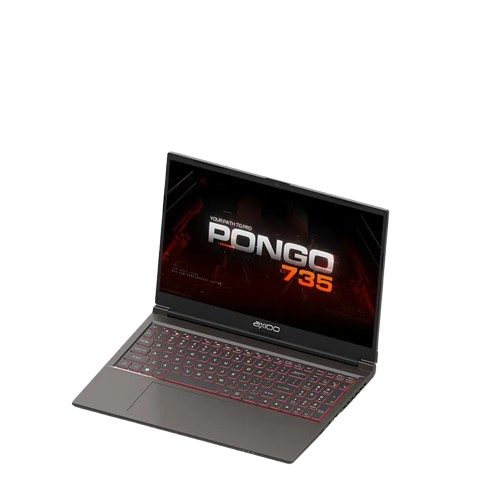 Axioo Pongo 735